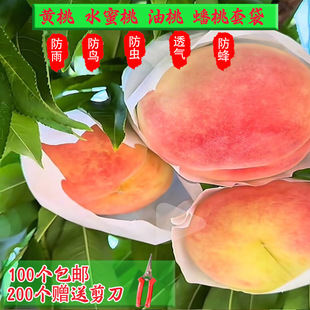 ˮ�����S���״��Ҵ���涬�����������״���ҷ���ˮʯ��ˮ���״�