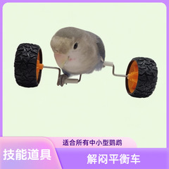 オウムのおもちゃは退屈してバランスが取れています。