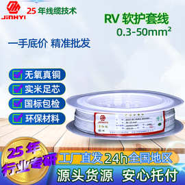 源头厂 RV 软护套电子线 AVR 国标单芯无氧铜阻燃电线 0.3-50mm 