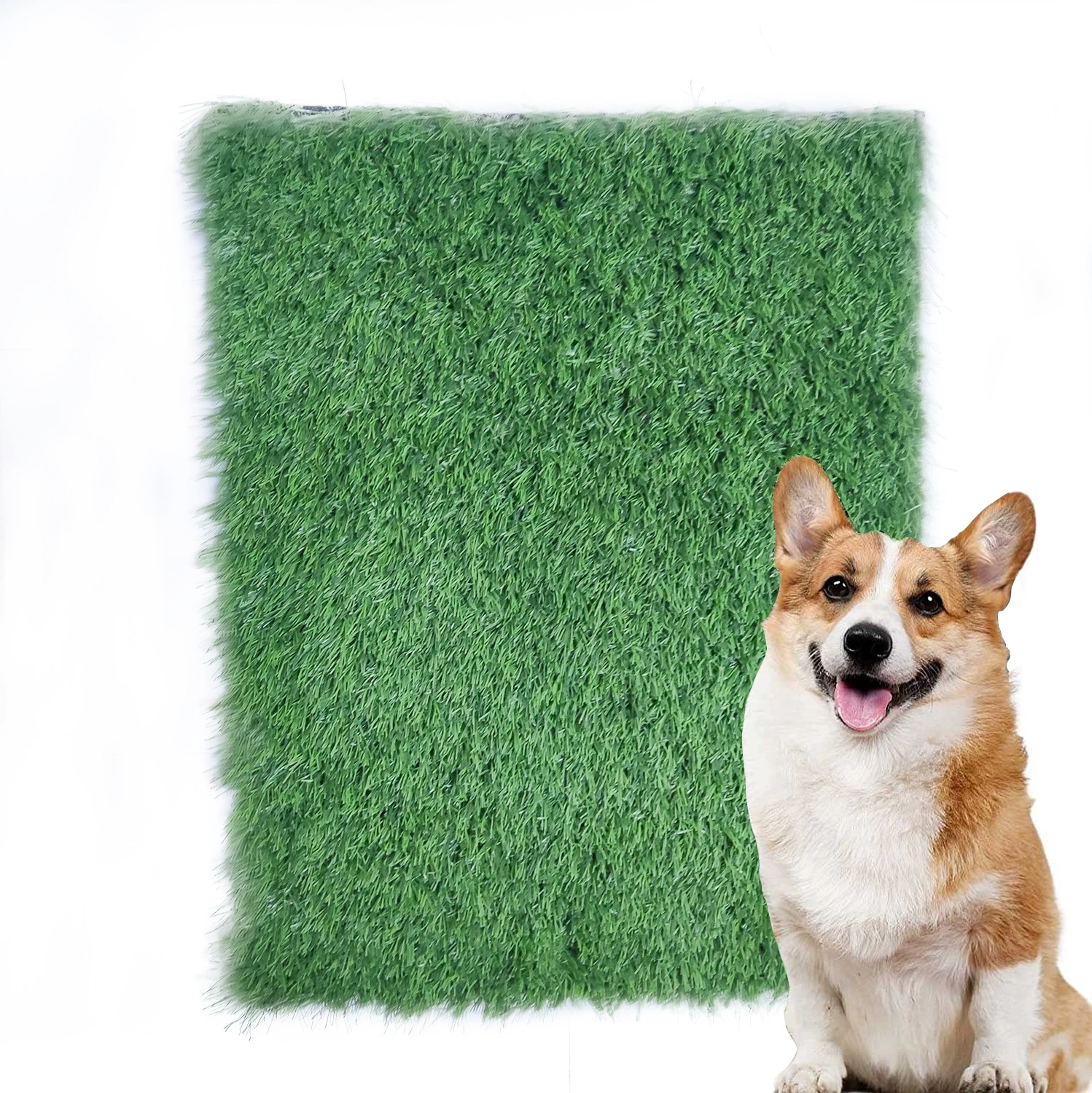 Домашние собаки мочеиспускание лужайки для мочеиспускания