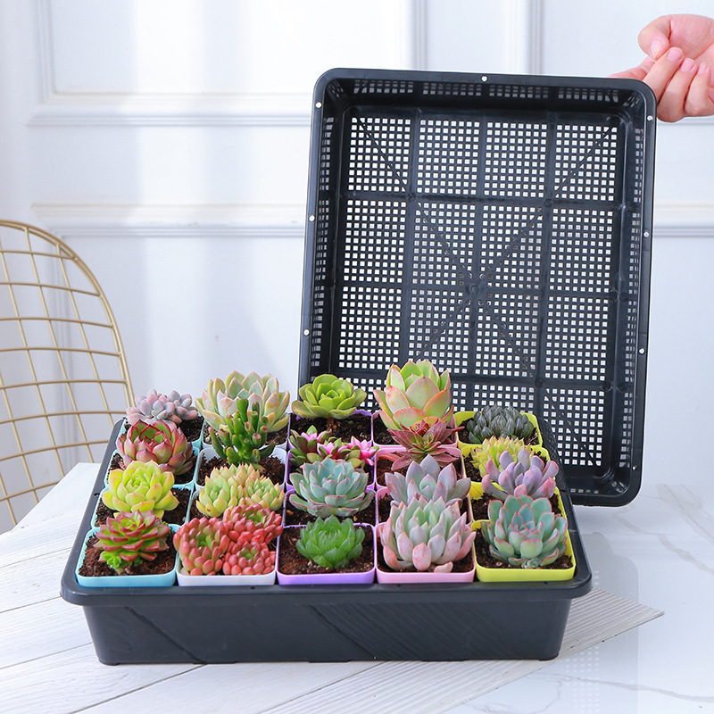 Batch development seedling tray flat tray flower garden nursery seedling raising tool tray square tray sturdy and durable rectangular tray sprout seedling tray