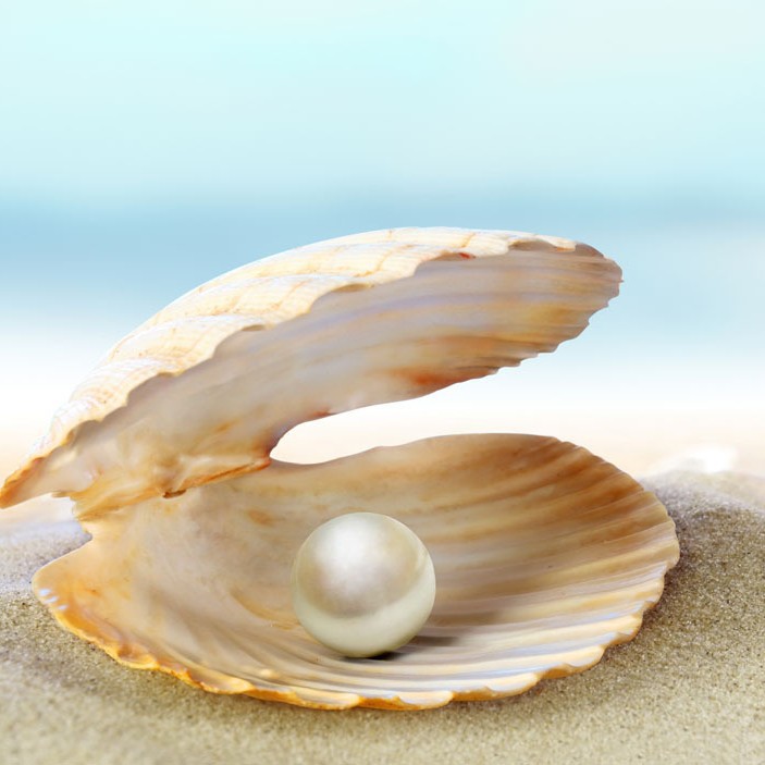 弗沃德FWD101.151.153.163珠光颜料样品装20克