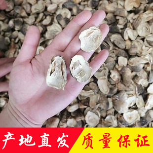 �ݹ���؛�a��ֱ�N���l�m��������ʳ�þ����خaĢ�����|����