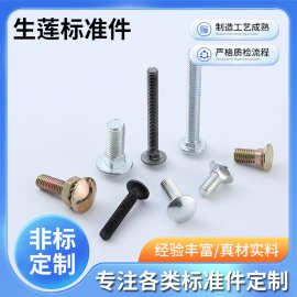 铁镀锌马车螺栓 方颈半圆头马车螺栓货架桥架固定大头螺丝批发