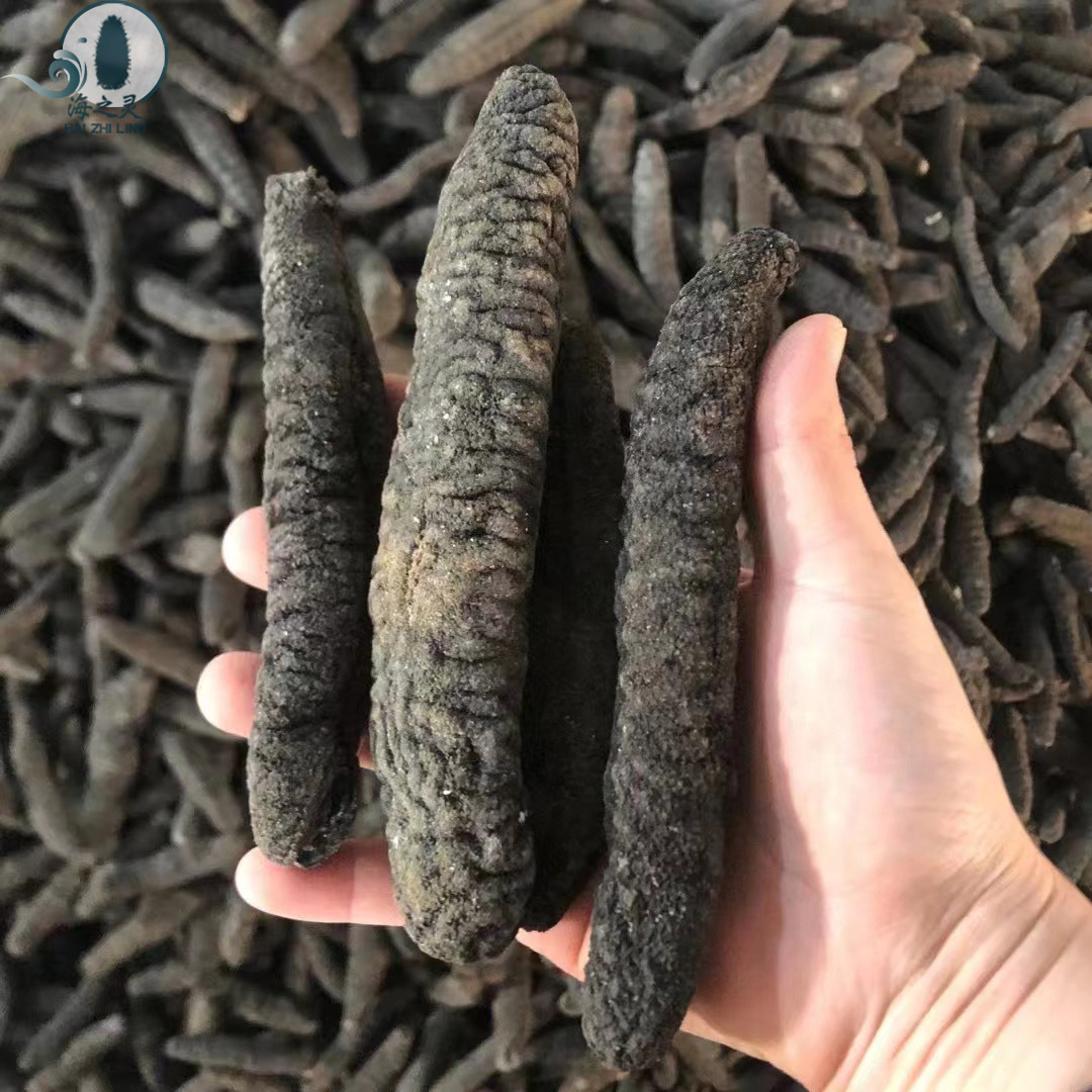批发10头大乌参 乌参 乌条参 酒店水发专用海参 一手干货产地直销