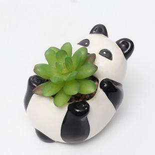 մɿͨ؈ Rdͥ@ˇСҾ k滨