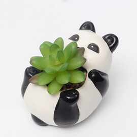 陶瓷卡通熊猫多肉盆 亚马逊创意家庭园艺小花盆家居 办公桌面花器