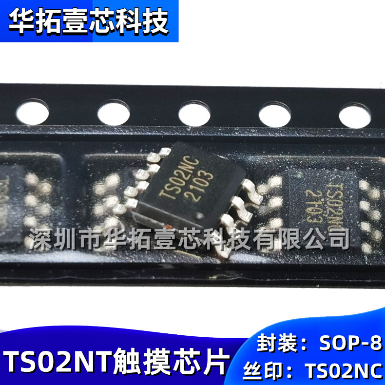 Original Ts02Nt Ts02Nc Smd Sop-8 2.5V~5.5V Dual-Channel Capacitive Touch Chip Ic