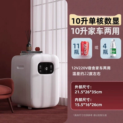 Soyuducular liquid bag, refrigerated medicine storage - 10-liter-single-core-model-with-digital-display-adjustable-temperature-standard-refrigeration