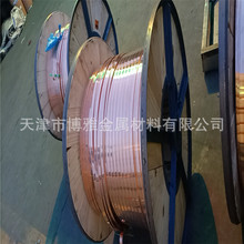 鍍錫銅排廠家 紫銅排 紫銅母排 銅母線 定制軟態銅卷排 銅排加工