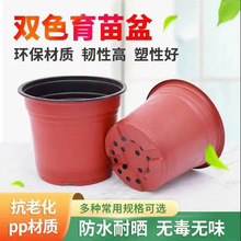 һ����������I�B���pɫ���pɫ�����躆�׻���Nֲ�������������l