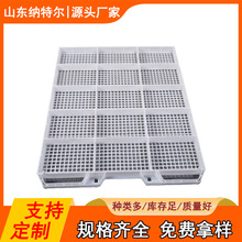 \Bذ Bֳ©S uԄӳu\| BֳO