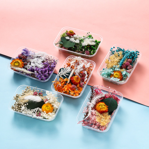 Preserved Flower Dried Flower Material Pack Floating Flower DIY Mini Pressed Flower Box Frame Fan Scented Droplet Resin Material Pack