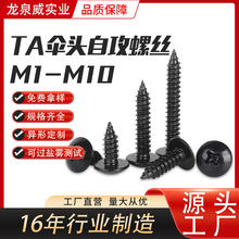 304不銹鋼十字蘑菇頭機牙螺絲釘M1M2M3M4TA傘頭自攻螺絲批發