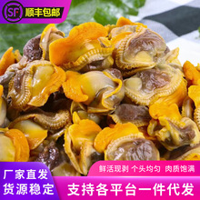 rëFكoɳؐë͘Ӻ⺣rˮaؐl