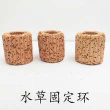 水草固定环重力环生物呼吸环水草固定环懒人造景定植环简易装饰用