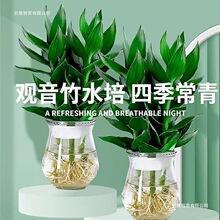 ᾳ��^�����F�D�\��ˮ���������ܾGֲ��G�}�j�k���҃�����