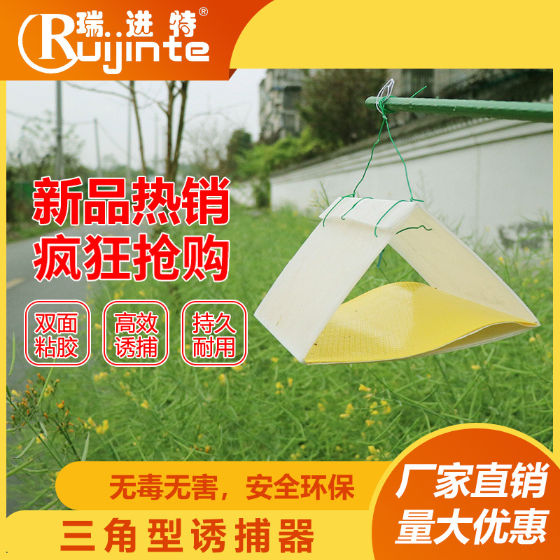 三角形诱捕器钙塑板棉铃虫诱捕装置桃小食心虫梨小李小烟青虫诱虫