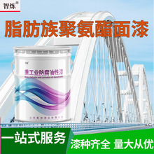 脂肪族聚氨酯面漆隧道钢管片用漆 聚氨酯面漆环氧富锌底漆快干漆