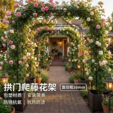 拱门花架爬藤架户外花门庭院月季蔷薇花铁艺支撑杆子爬藤杆葡萄架