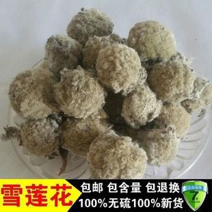 �a�ز�ѩɏѩɏ�� ��� �L���� 500�˰��]��؛��؛