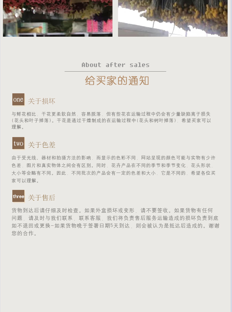 满天星_11