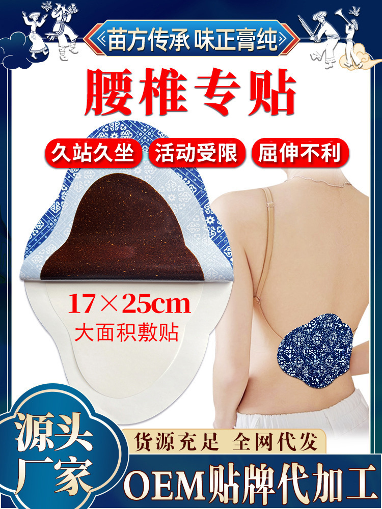 Guizhou Miao Medicine Traditional Chinese Medicine Paste Lumbar…
