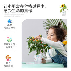 Children planting small potted plants creative mini happy farm diy strawberry sunflower kindergarten planting paradise