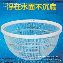 鱼虾苗分级筛塑料鱼筛子圆形大小鱼苗分类朝筛寸纱鱼泥鳅龙虾