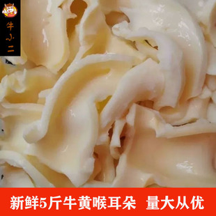 ���]5�����rˮ�lţ�S������ţ�S��߅����ţ�S��β�ͻ�側�������