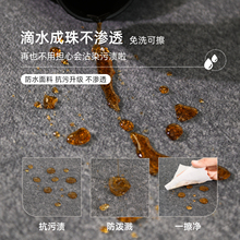 。地毯客廳輕奢防水卧室床邊地墊免打理大面積房間沙發茶幾坐