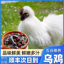 ɢ�B�����u���r�F�����u���P���u���u���r�����ĸ�u��ֻ�ǻ���