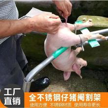 小猪去势阉割架仔猪阎割架子锹猪器固定敲猪刀小猪阉割架手术简易