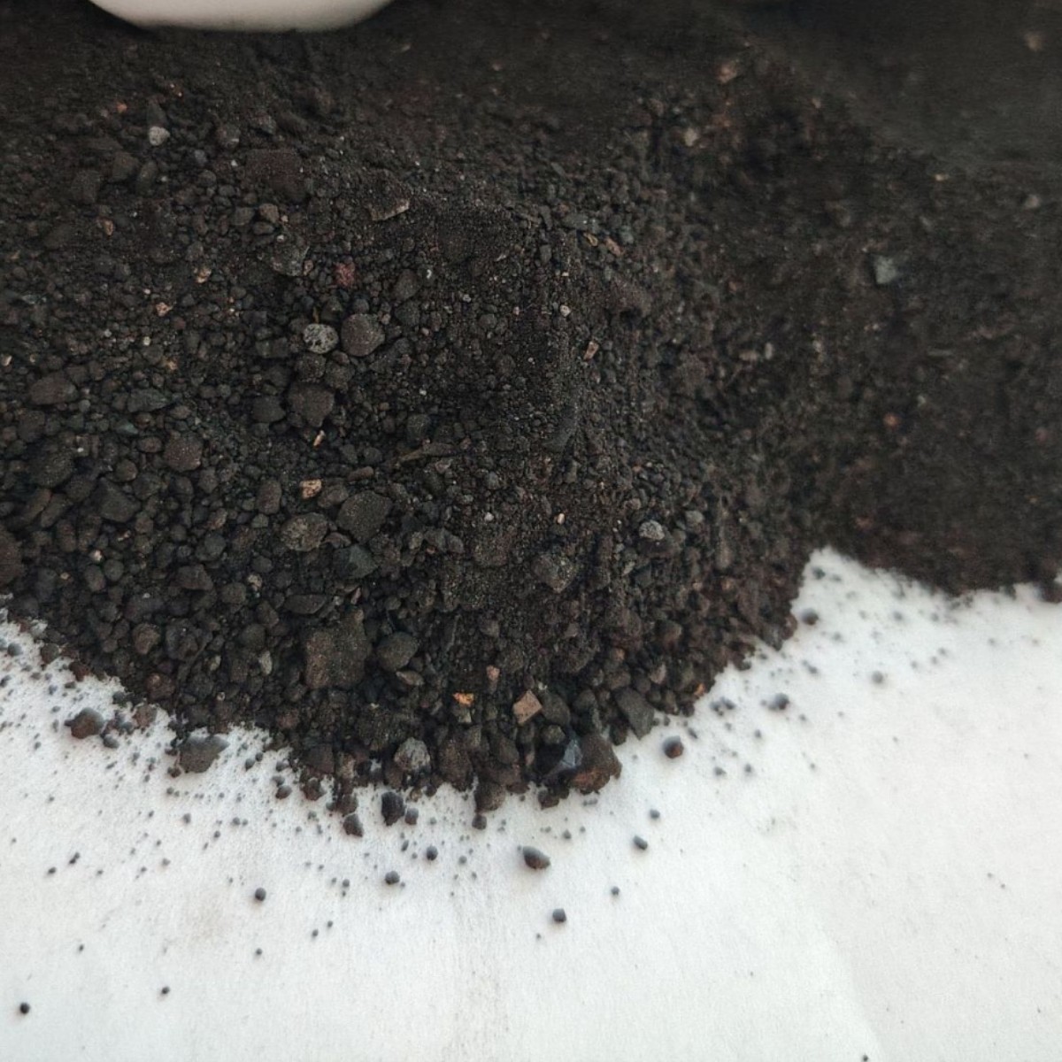 2025-01-19 17:04:54.jpg