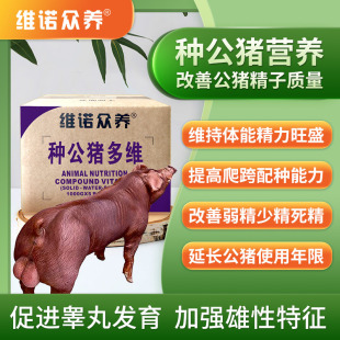 �N���i��S��N�S�����A�����a���w�������N���ƾ��I������ӄ�