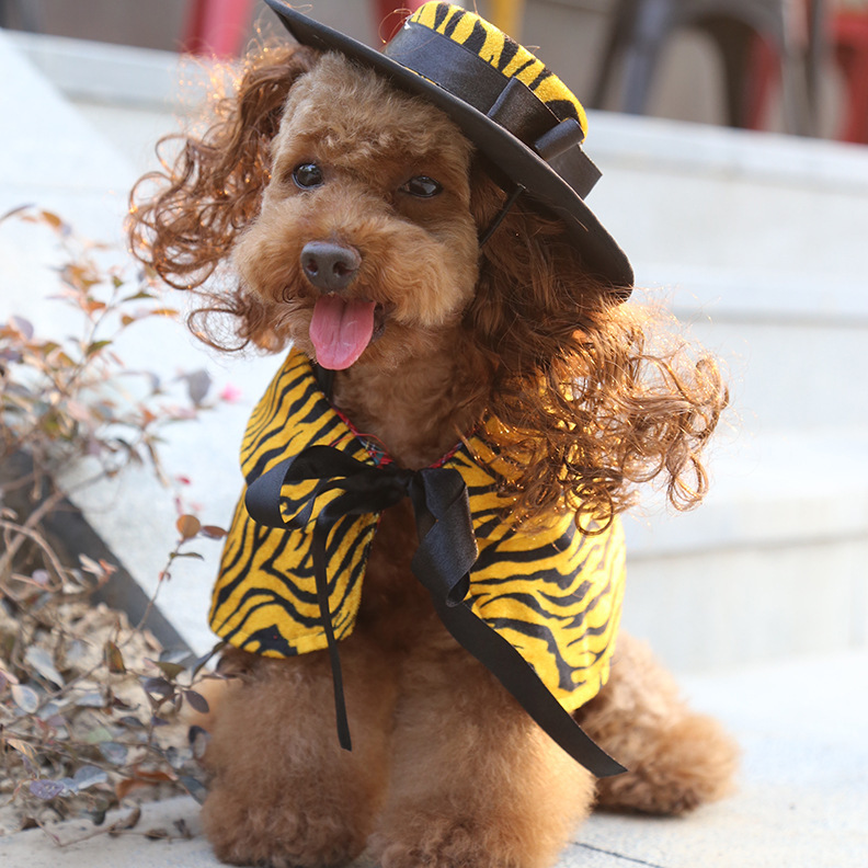 Costume di halloween per cani con mantello e cappello accessori_voghion.com