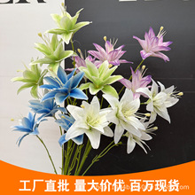����4�^ˮ�ɰٺ� ��c��Y���ľƵ�����d�b�ӆ����鷿�Ɍ�����