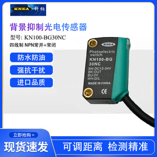 �Ƽ{����_�PKN100-BG30NC�������ͱ������ƹ���_�PKN100-BG30PC
