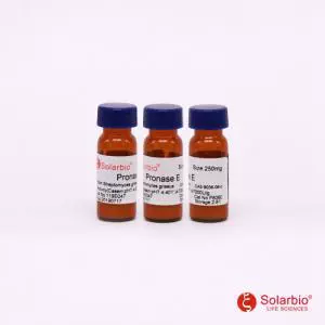P8360 链霉蛋白酶E 白色至浅黄色粉末 提取DNA、RAN时蛋白消化