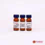 提取消化p8360白色蛋白酶
