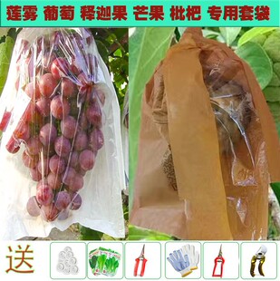 Lotus Mist Bag Translucent Daylight Bag White Fruit Bag Packaging Paper Bag Loquat Pear Rain-proof Grape Bag Free Shipping
