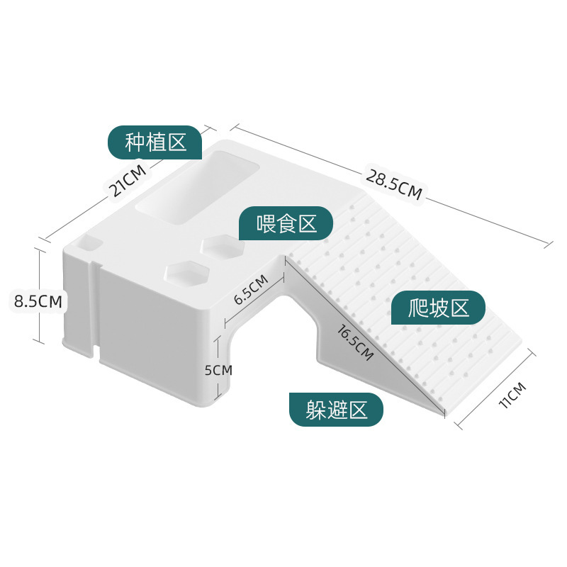 亀のかめの日焼け台は台に登ります。|undefined