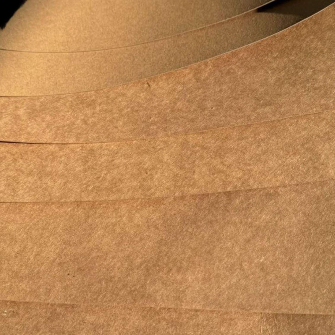 2024-12-10 15:56:26.jpg