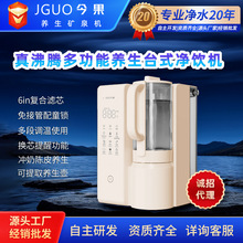 多段调温定量取水真沸腾台式养生净饮机饮水机批发区域代理