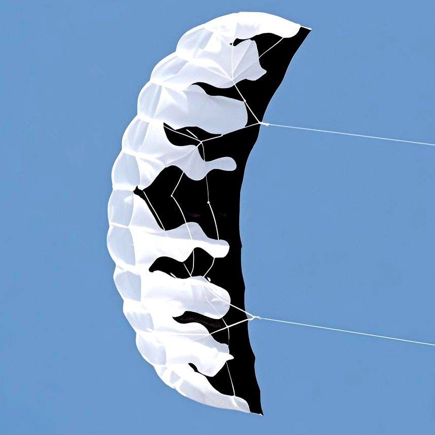 Comercio exterior suave doble línea paraguas cometas transfronterizas explosión Amazon paraguas eléctricos cometas paracaídas acrobacias paraguas cometas