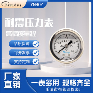 YN40Z�S�������������߾��Ț�ӱ�Һ����ˮ����0-1.6MPaһ����1/8