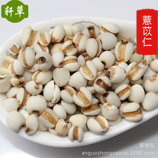 ����������ș��޲����޲��޲����޲����޲�������l������