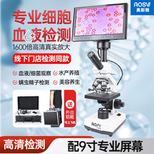 奥斯微（AOSVI）厂家直销批发 细胞血液检测仪高倍带屏幕一滴血