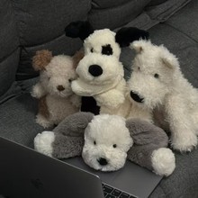 JCӢ������ϵ��ë�q��� ���ߵ� ؈�ϰ���u����N��Rȫ