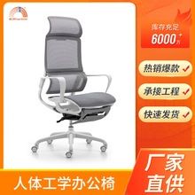 人体工学椅子可躺两用职员办公电脑椅靠背升降旋转网布网布可升降